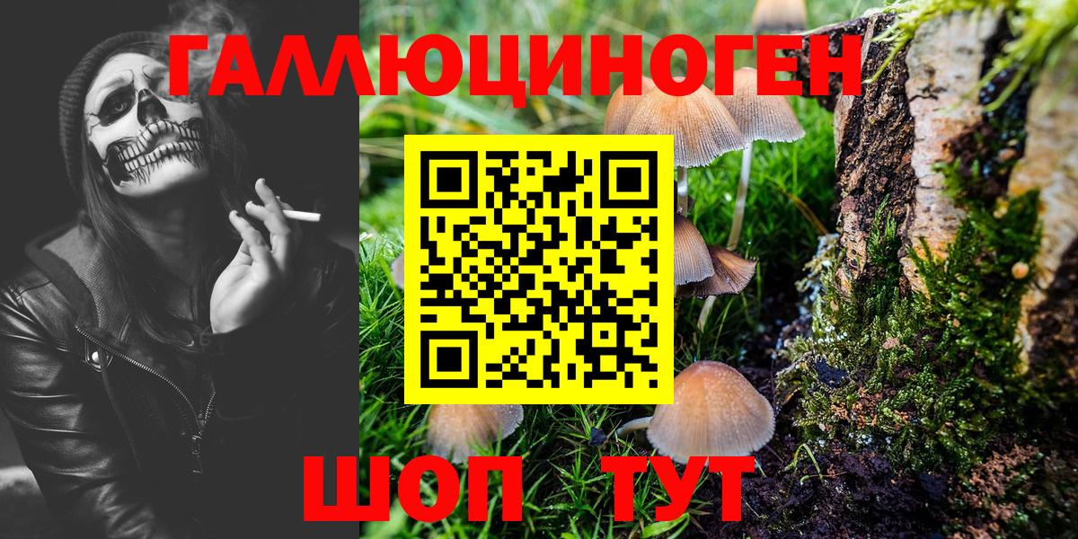 Галлюциногенные грибы Psilocybe  Вход с VPN  Галлюциногенные грибы GOLDEN TEACHER  Елизово 