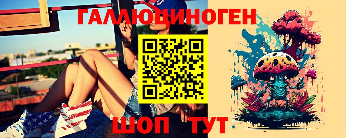 Псилоцибиновые грибы Psilocybe Елизово